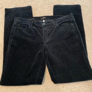 Loft Modern Sexy Boot Black Corduroys 31/12